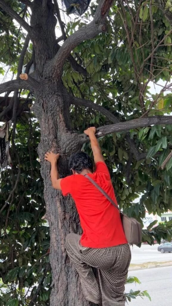 20260110-my-05-041768013760-578x1024 吉隆坡男子在树上居住逾半年 生活困境引发社会关注