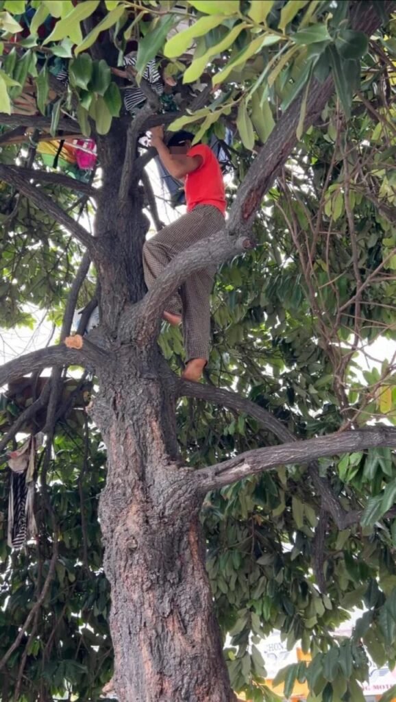 20260110-my-05-071768013760-578x1024 吉隆坡男子在树上居住逾半年 生活困境引发社会关注